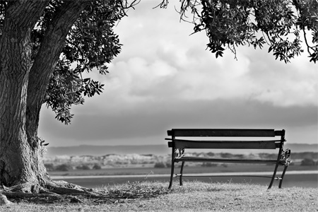 park bench rest a while