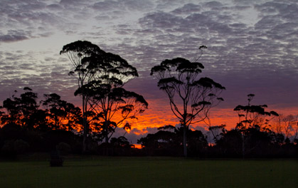 park fire for the soul