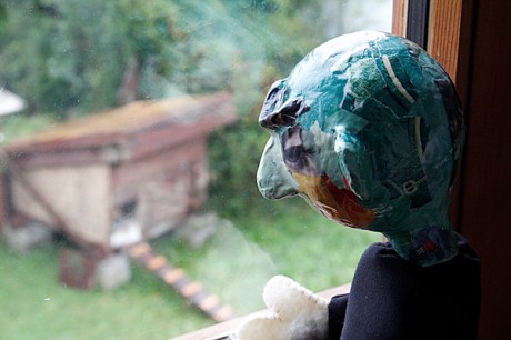 chicken and nosy neighbour