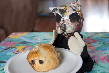 cool cat hot cross bun